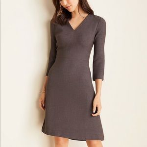 NWOT Ann Taylor Doubleweave V-Neck Flare Dress